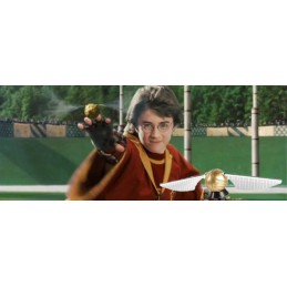 Harry Potter Le mystérieux Vif d'Or Quidditch