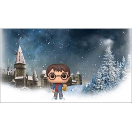 Funko Pop! Harry Potter (Holiday)