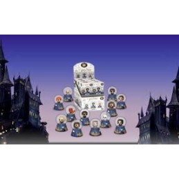 Funko Mystery Minis Harry Potter Boules à neige