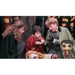 Funko Funko Pop Harry Potter (Boneless Arm)