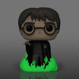 Funko Funko Pop Harry Potter N°53 (Using Floo Powder) Phosphorescent Edition Limitée