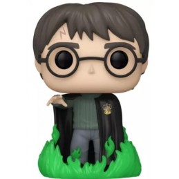 Funko Funko Pop Harry Potter N°53 (Using Floo Powder) Phosphorescent Edition Limitée