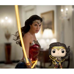 Funko Funko Pop Movies N°1334 The Flash Wonder Woman Vinyl Figure