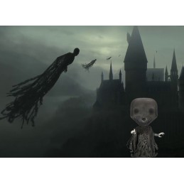 Funko Funko Pop N°161 Harry Potter Dementor Phosphorescent Edition Limitée