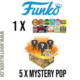 Funko Funko Pop Mystery Box Vinyl Figures