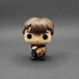 Funko Funko Pop Pocket Harry Potter Neville Longbottom gebrauchte Figur (Loose)